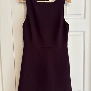 Aritzia Deep Purple Mini Dress